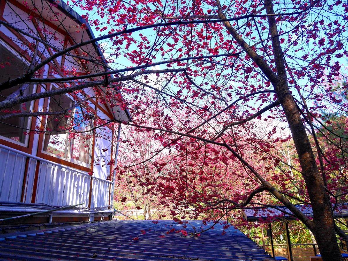 森之秘湯 Mhuwe Hotspring Apartment Renai Ruang foto